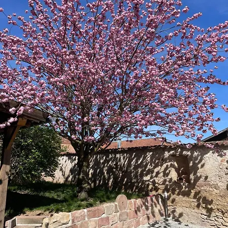 Chez Natillon - Spacieux Et Cosy Bischoffsheim