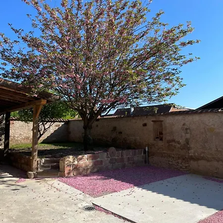Chez Natillon - Spacieux Et Cosy Apartment
